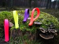 IMG_20210307_133017.jpg