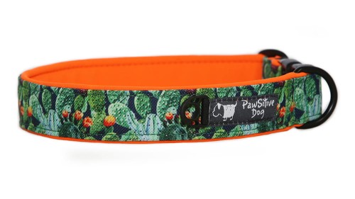 Obroża Cacti lover.JPG